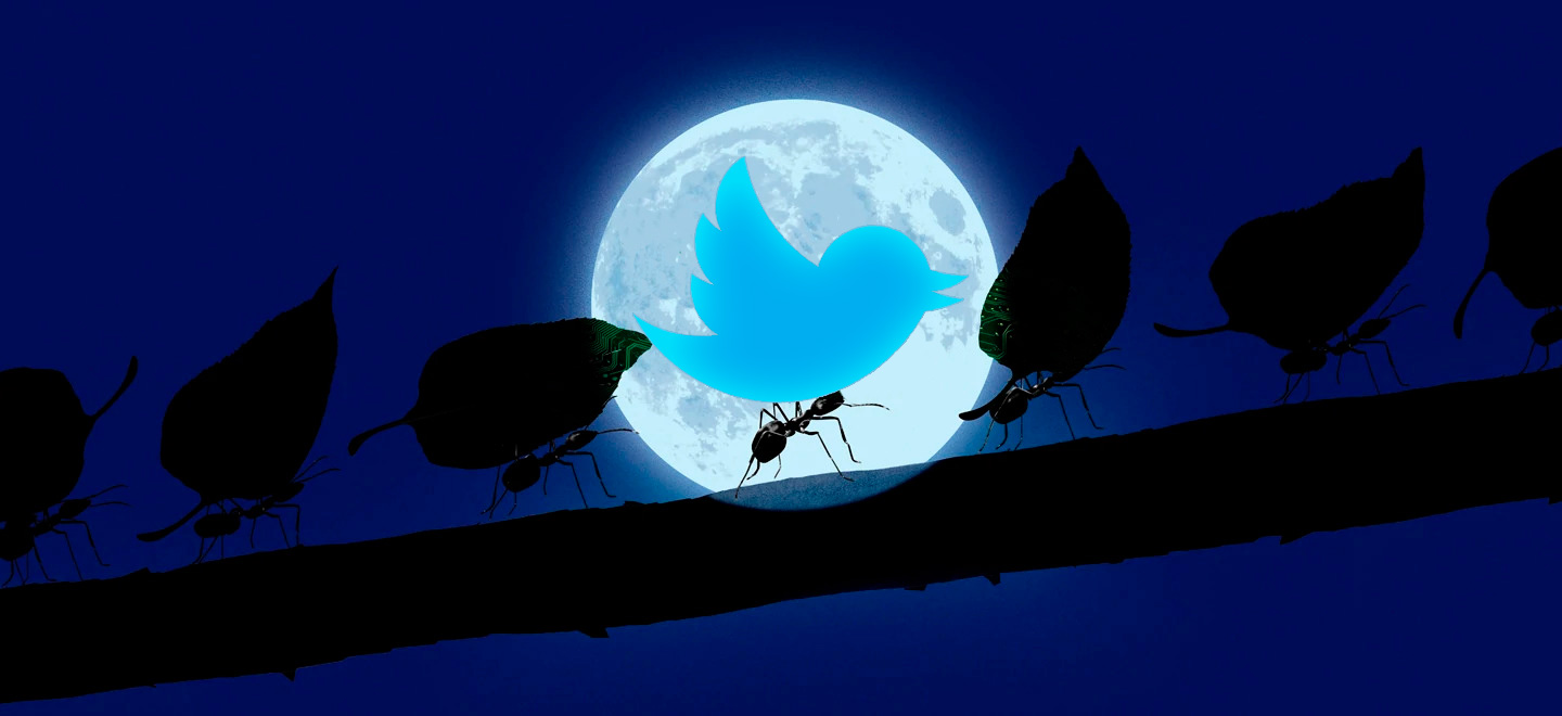 Эволюция Твиттера и что нас ждет